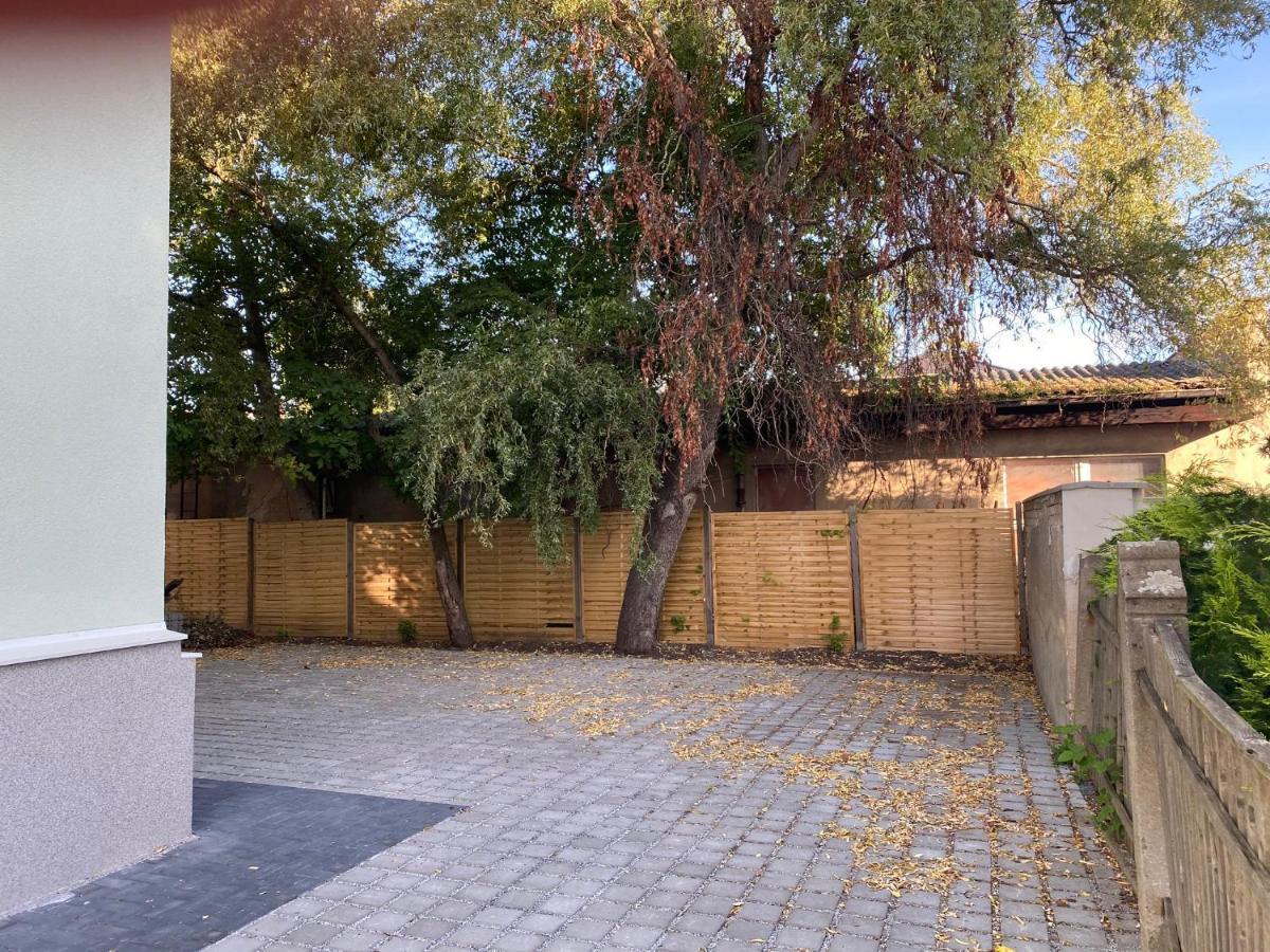 Apartmenthaus Sternstrasse Dresden Dış mekan fotoğraf