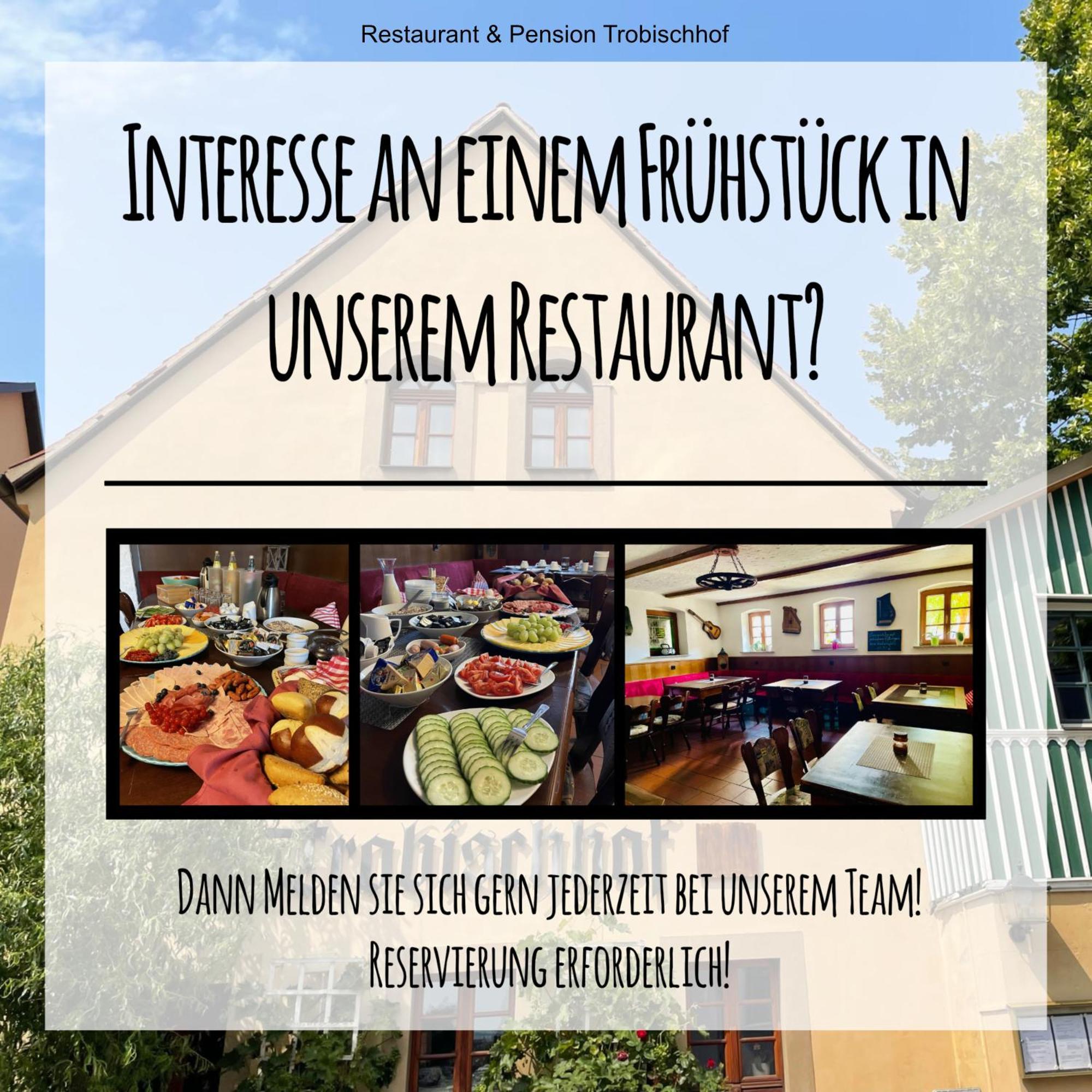 Apartmenthaus Sternstrasse Dresden Dış mekan fotoğraf