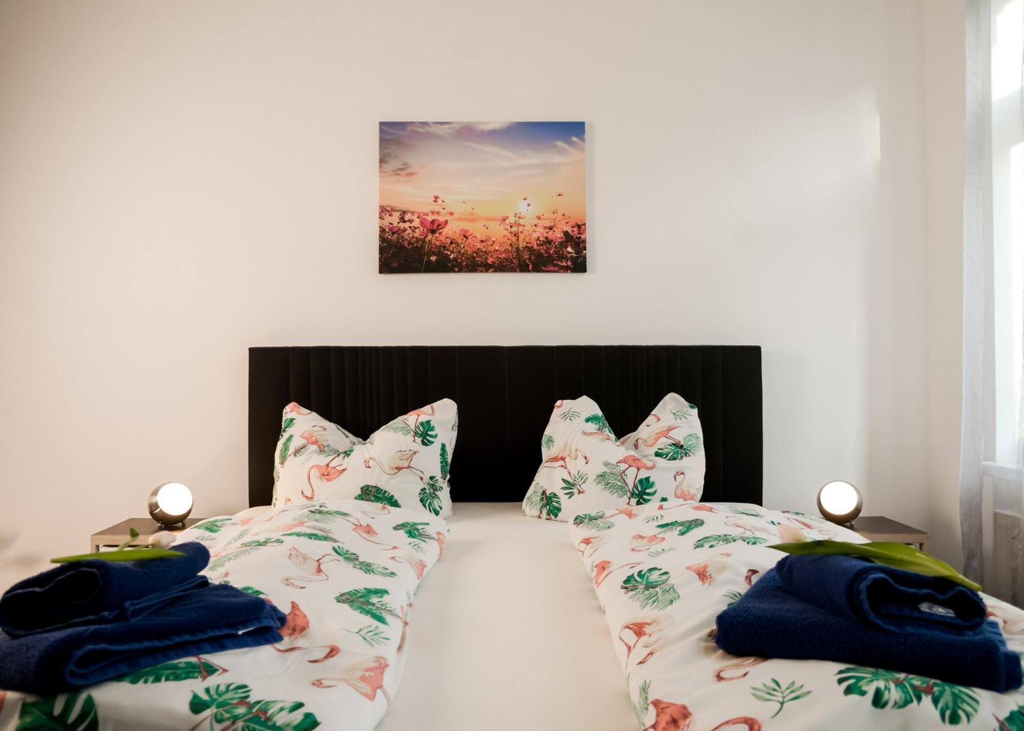 Apartmenthaus Sternstrasse Dresden Dış mekan fotoğraf